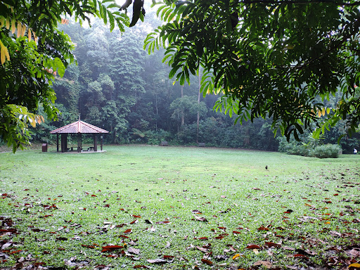 Bukit Batok Nature Park Playground - Thumbnail