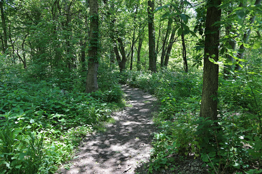 Woodman Fen Gallery - United States