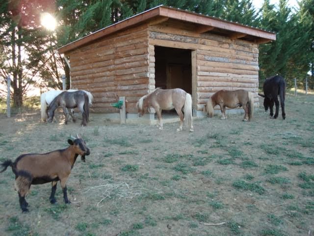 La Grange Du Cheval Blanc
