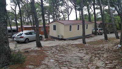 Photos of Ba&scaron;ko Polje