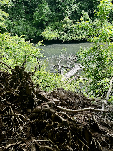 Tributary Nature Trails - Thumbnail