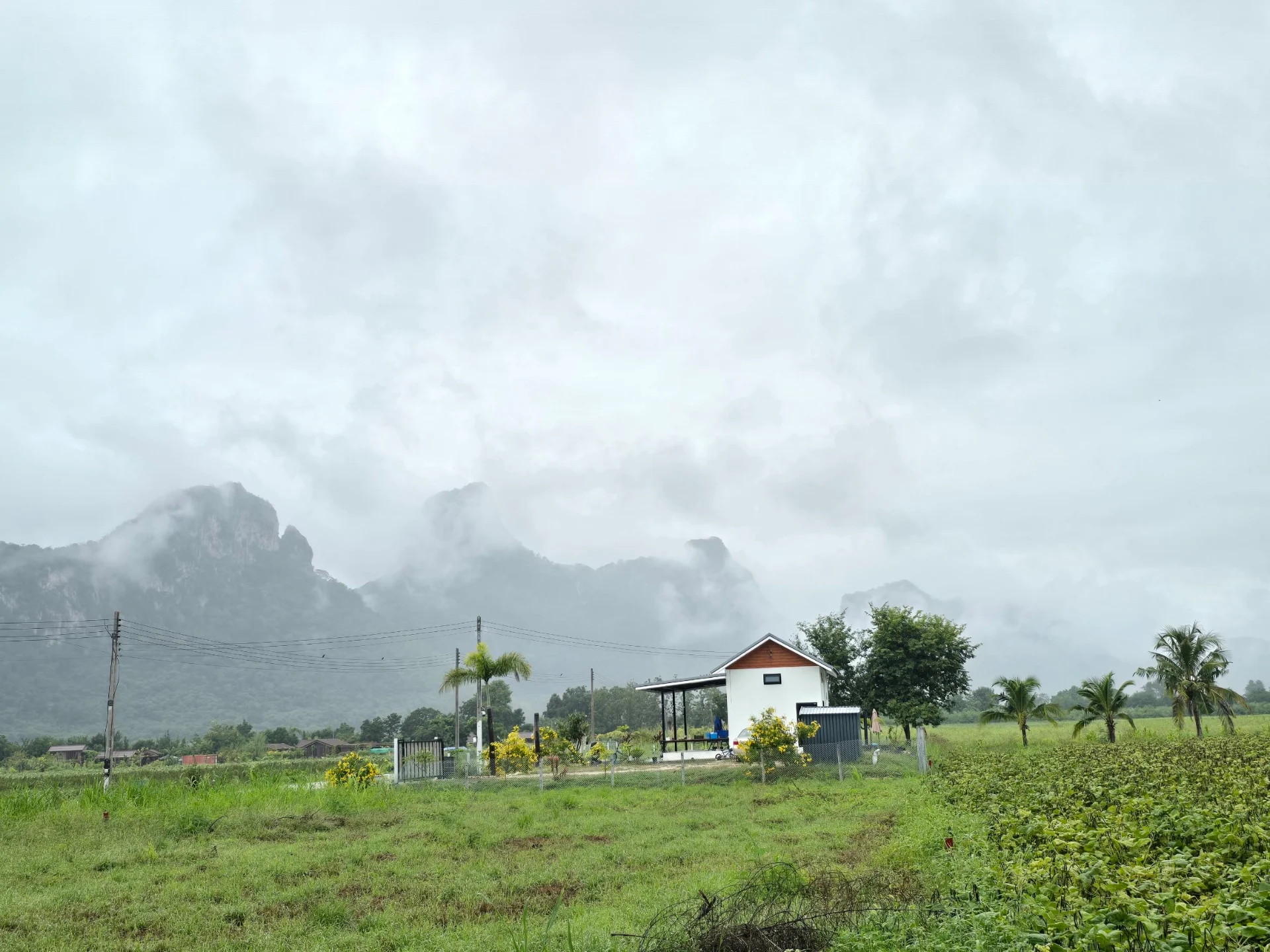 Baan Noah บ้านโนอาห์