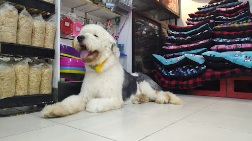 Veterinaria y Estética Canina Petgar's