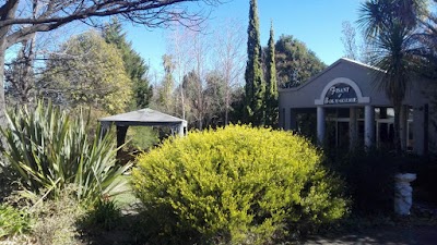 Photos of Fisant & Bokmakierie & Hoephoep