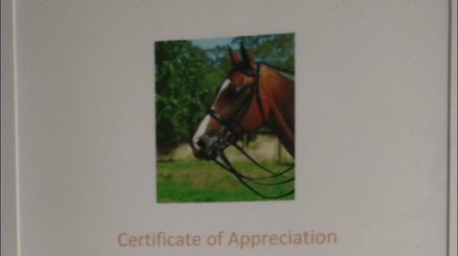 BRIDLES - Thumbnail