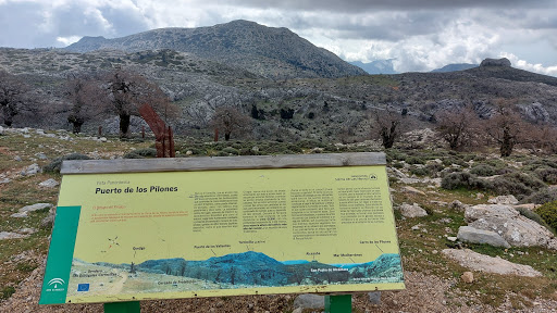 Puerto de los Pilones.Altitud 1750m