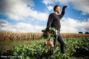 Photo n°15 de Ferme de Lintever à Cléguérec (Vente de légumes en gros)