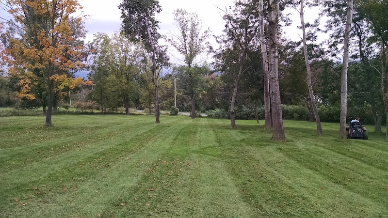 Viewmont Property Service