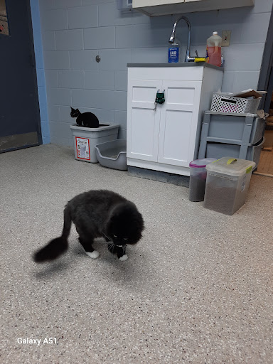 First State Animal Center and SPCA - Thumbnail