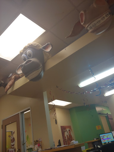 Lone Star Pediatric Dental & Braces - Kyle - Thumbnail