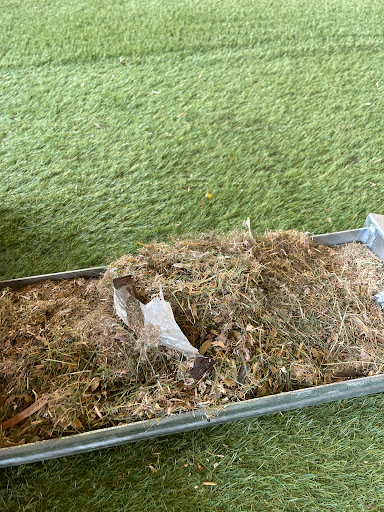 Pure Turf Australia - Thumbnail