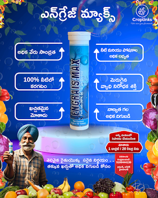 Af1qippzuzpviglbjk1esnnmmlbxrknsfnlmmjex4trd=s406 K No