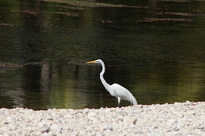 Photos of Los Patos, fresh water bathing