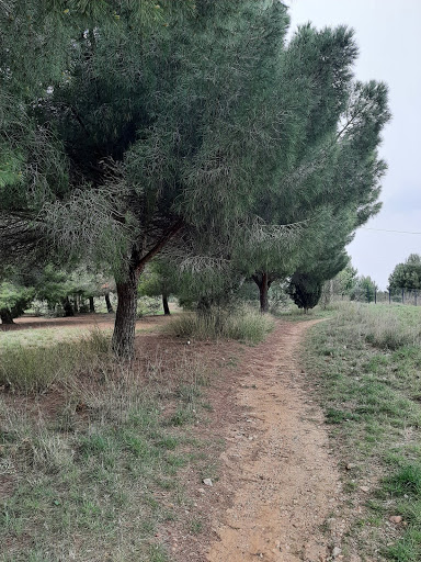 Arboretum de Cabestany