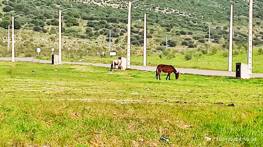 Arroyo de San Serván - Thumbnail