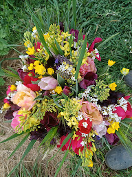 Photo n°3 de Surlacolline.info à Frugières-le-Pin (Ferme)