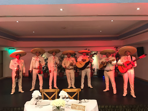 Mariachi los Gavilanes