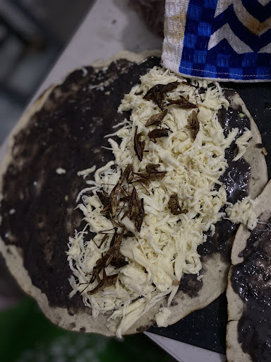 Guendaro - Visual
