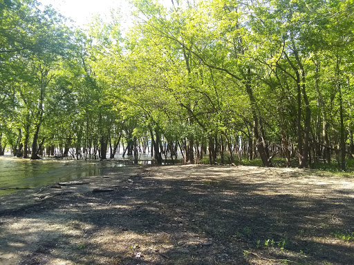 Cooper Park North - Thumbnail