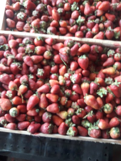 Photos of Fruteria El Chico Veneno
