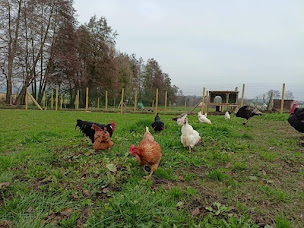 Photo n°27 de Ferme pédagogique de Bouxwiller à Bouxwiller (Organisme à but non lucratif)
