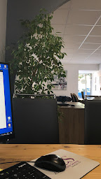 Photo n°5 de Agence immobilière ALTA Costa Serena Ghisonaccia à Ghisonaccia (Agent immobilier)