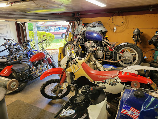 Voltarr Customs - Visual
