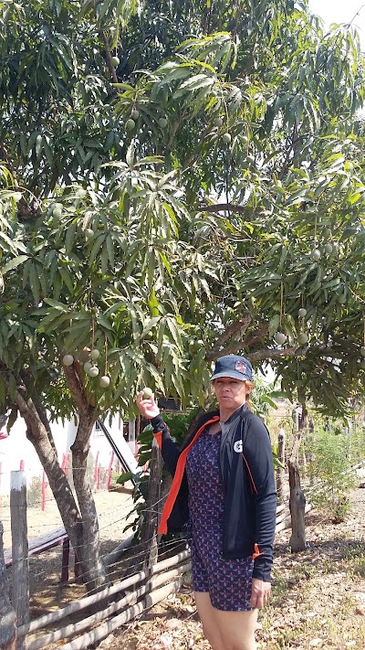 Photos of Humitas De La Cadena