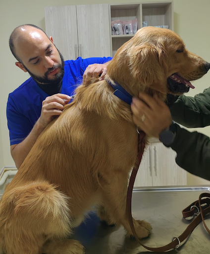 Centro Veterinario La Plata