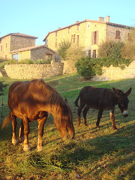 Photo n°41 de Chambres d'hotes Ardeche Couette et Tartine à Bozas (Lodge)