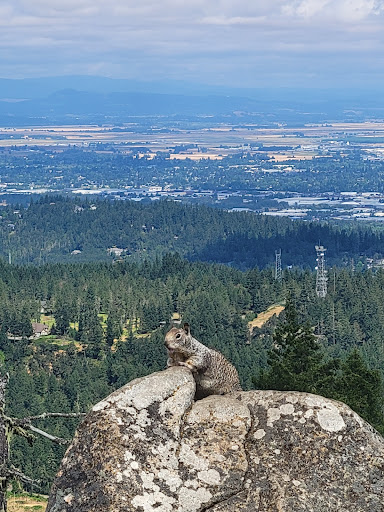 Mount Baldy - Visual
