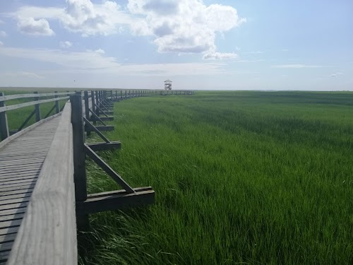 Liepājas ezermalas taka