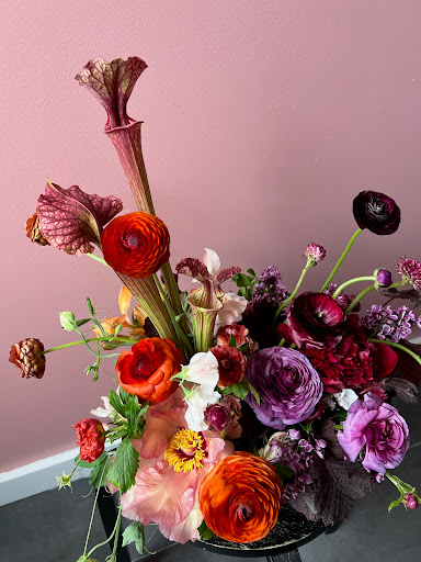 Efflorescent Studio - Visual