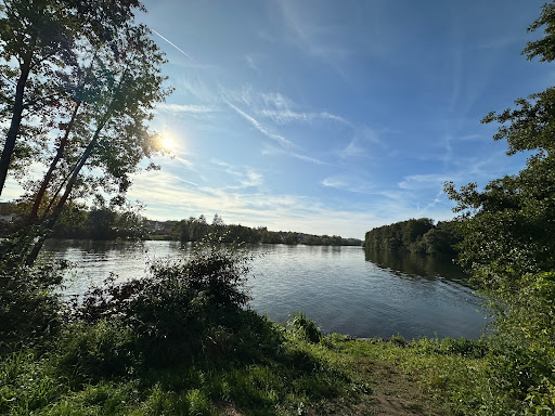 Regnitzmündung - Thumbnail