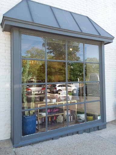 Koi Salon - Visual