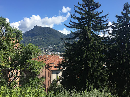 Cazino und Slots Switzerland