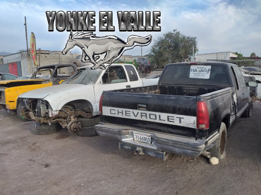 yonke el valle - Thumbnail