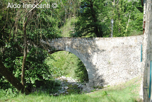 Gragnana - Visual
