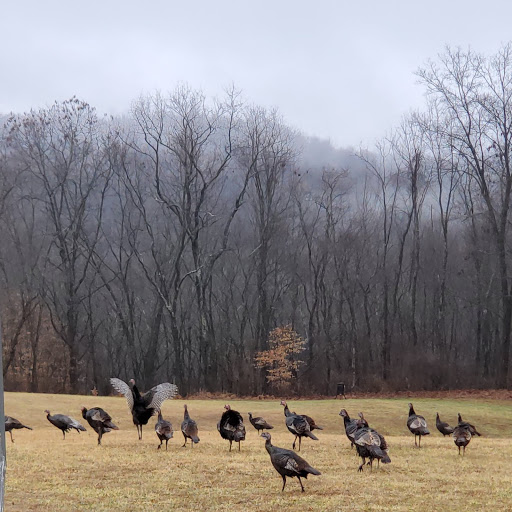 Turkey Valley RV Park - Thumbnail