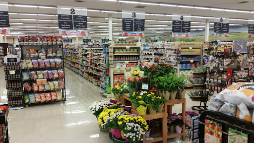Sobeys Kipling - Visual