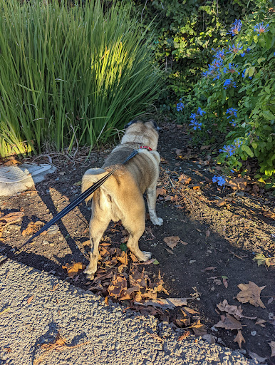 BART Linear Park - Visual