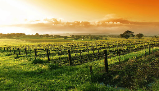 Adam Woods - McGrath Mudgee Real Estate Agent - Thumbnail