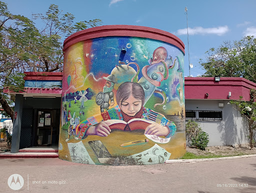 Biblioteca Municipal Leona Vicario - Thumbnail