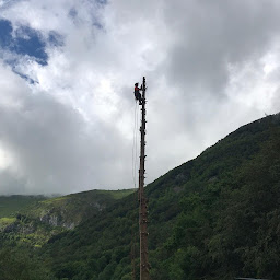 Photo n°3 de Aves élagage à Mauvaisin (Service d'élagage)