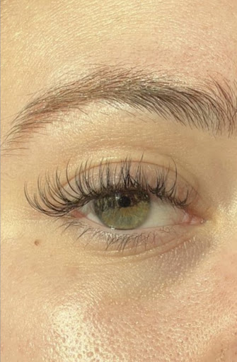 Molly does Lashes - Visual