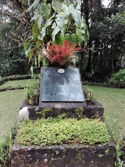 Photos of Hotel Posada Monta&ntilde;a del Quetzal