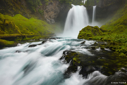 McKenzie River Dream - Thumbnail