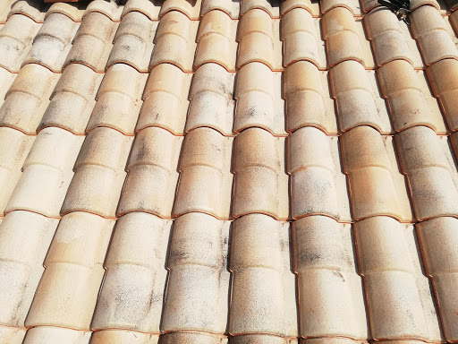 Photo de CMCZ à Marennes (17320)