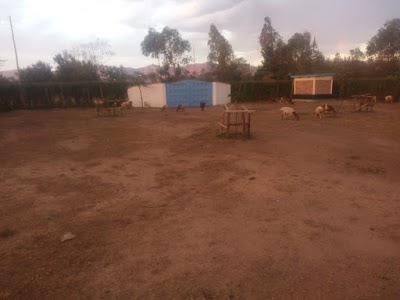 Photos of Chiga Market