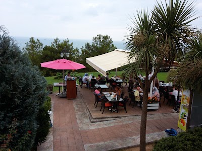 Photos of Amisos Cafe